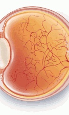 Forget carrots - eating oranges could protect your eyesight