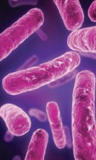 Probiotics could reduce high blood pressure, heart disease and strokes