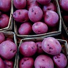 Purple potatoes may stop risk of inflammatory bowel diseases