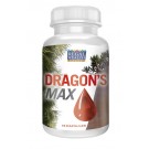 Dragons Max