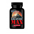 Gigantic Max
